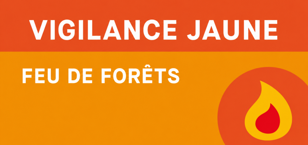 🔥 Feux de forêt : la Gironde repasse en vigilance jaune