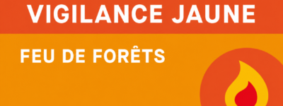 🔥 Feux de forêt : la Gironde repasse en vigilance jaune
